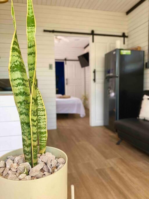 Apartamento Hoja Azul Loft Guanacaste Hojancha Exterior foto